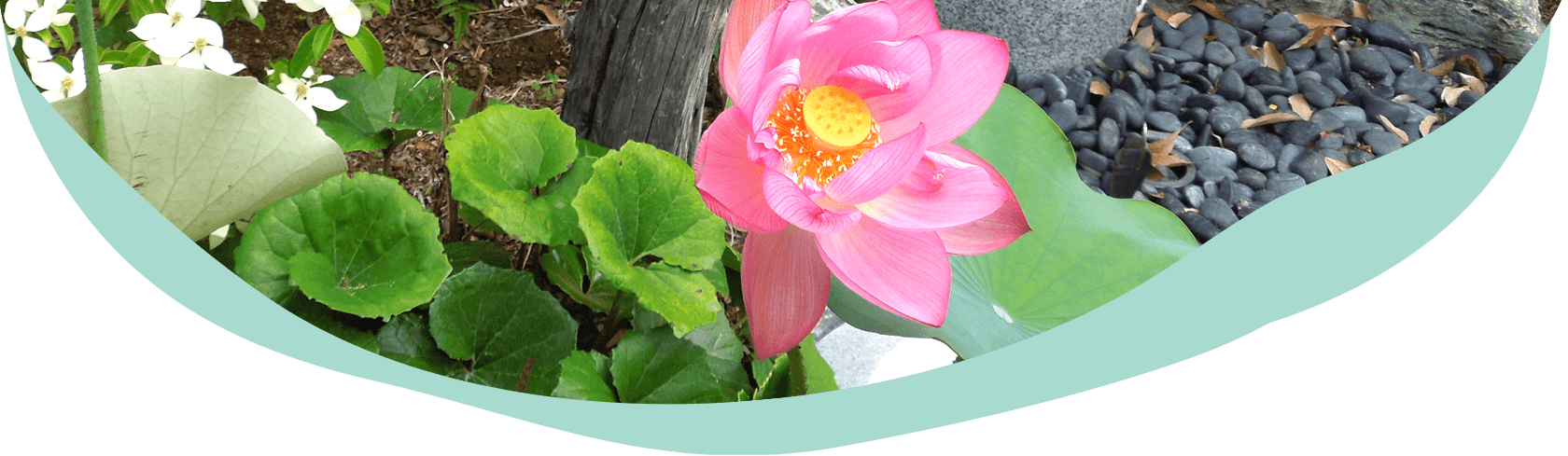 お墓の悩みごと